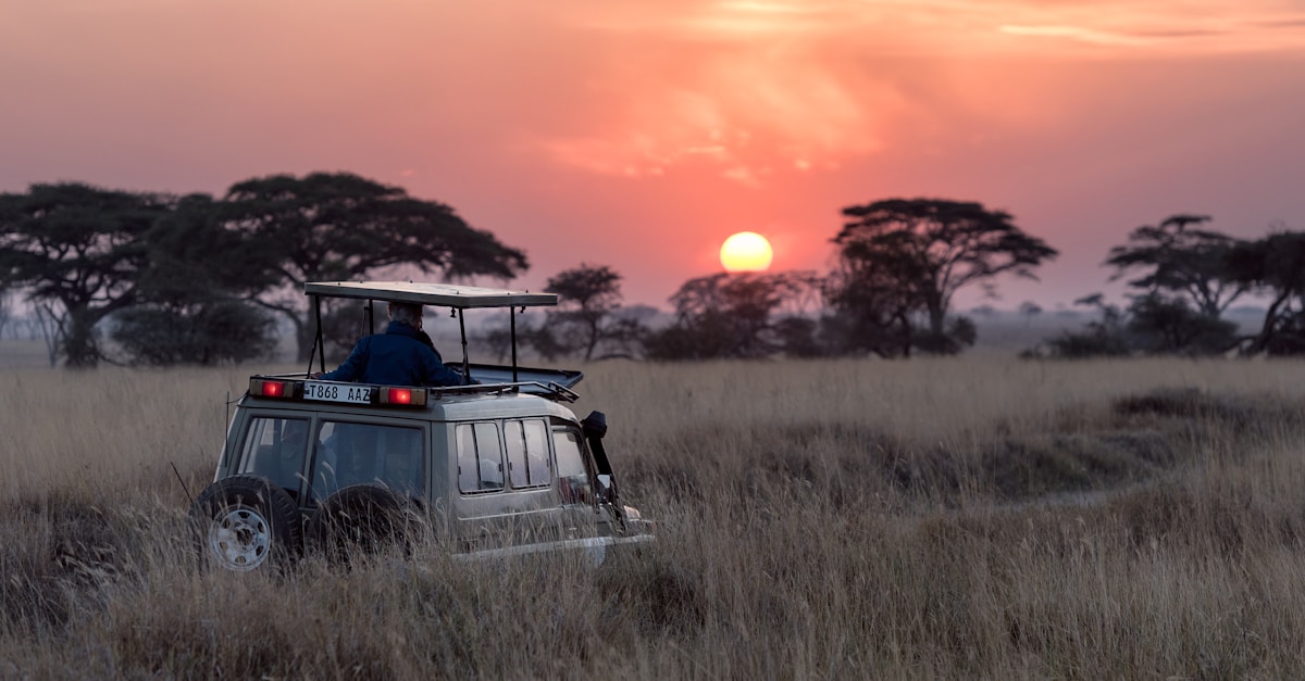 Safaris