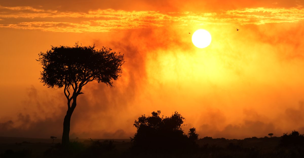 East & Southern African ecosystems