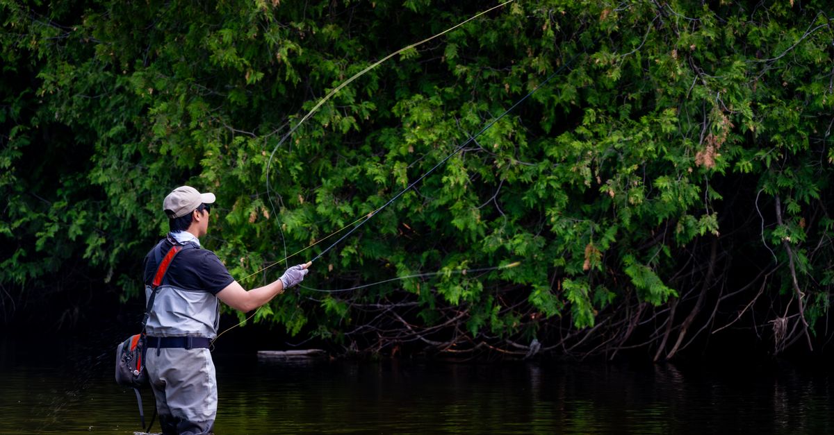 Fishing Charters