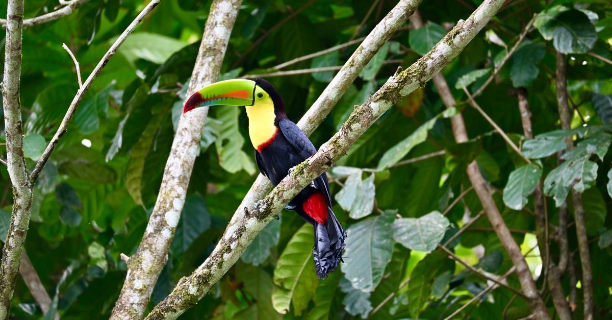 Photo Expeditions
